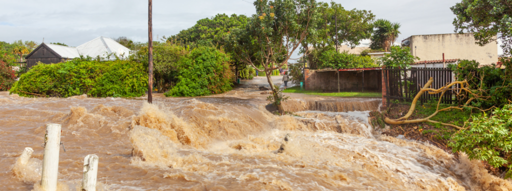 Quelles Sont Les Cons Quences Des Inondations Sur L Environnement