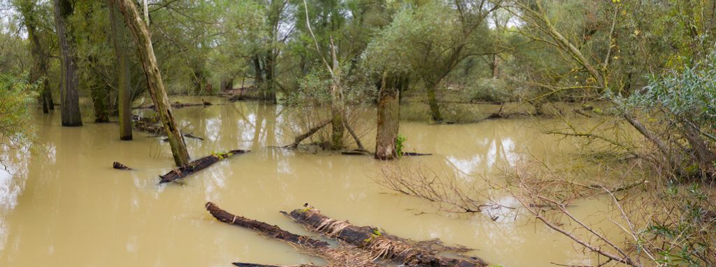 restauration-des-ecosystemes-pour-reduire-les-inondations